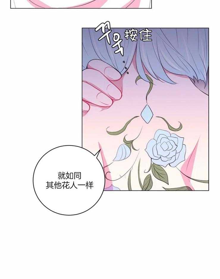 《月夜花院》第95话 对不起 第11页