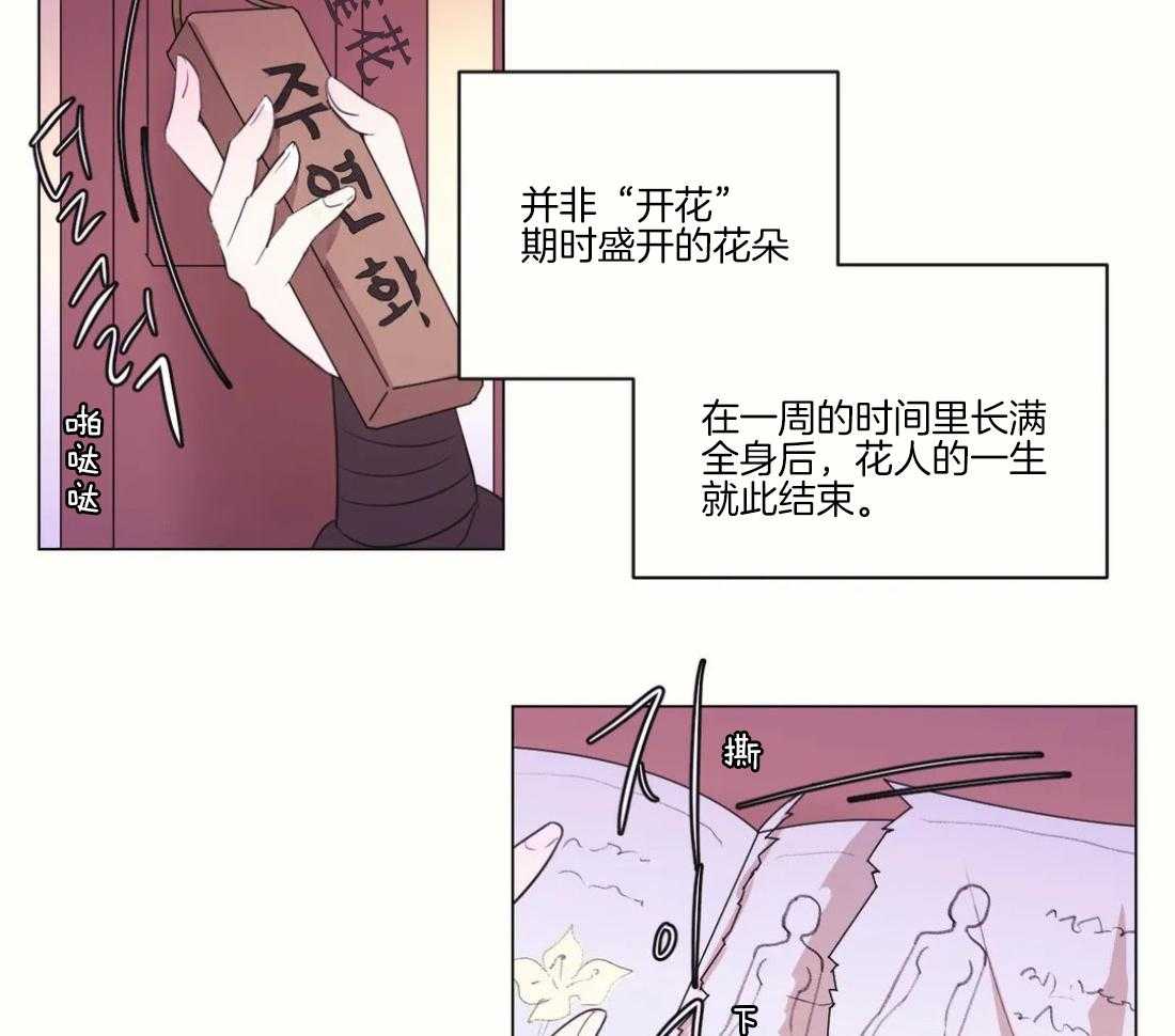 《月夜花院》第101话 真的只能这样吗 第36页