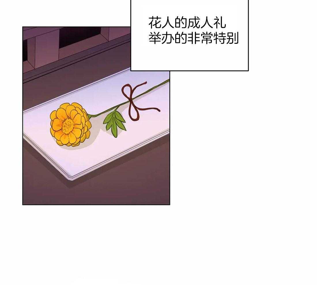 《月夜花院》第112话 成人礼 第12页