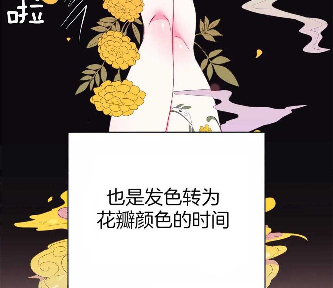 《月夜花院》第112话 成人礼 第19页