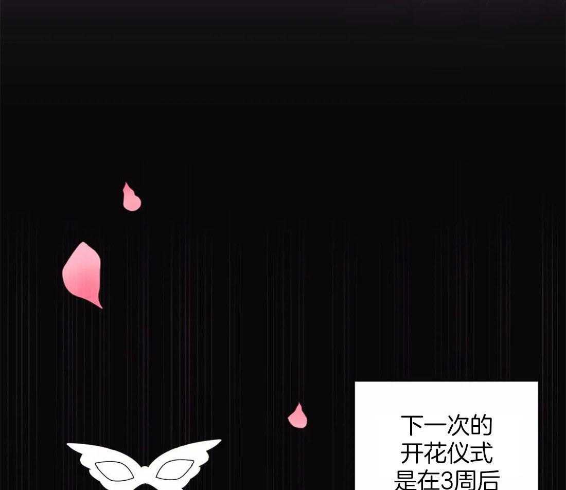 《月夜花院》第112话 成人礼 第25页