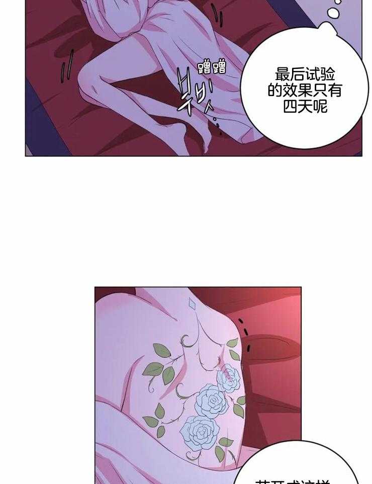 《月夜花院》第133话 该醒了 第20页