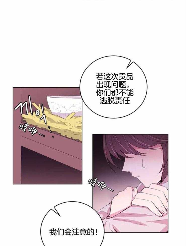 《月夜花院》第136话 贡品 第15页