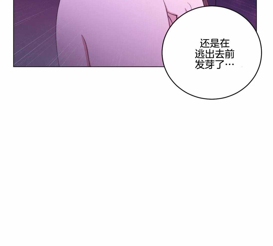 《月夜花院》第138话 延期开花 第16页