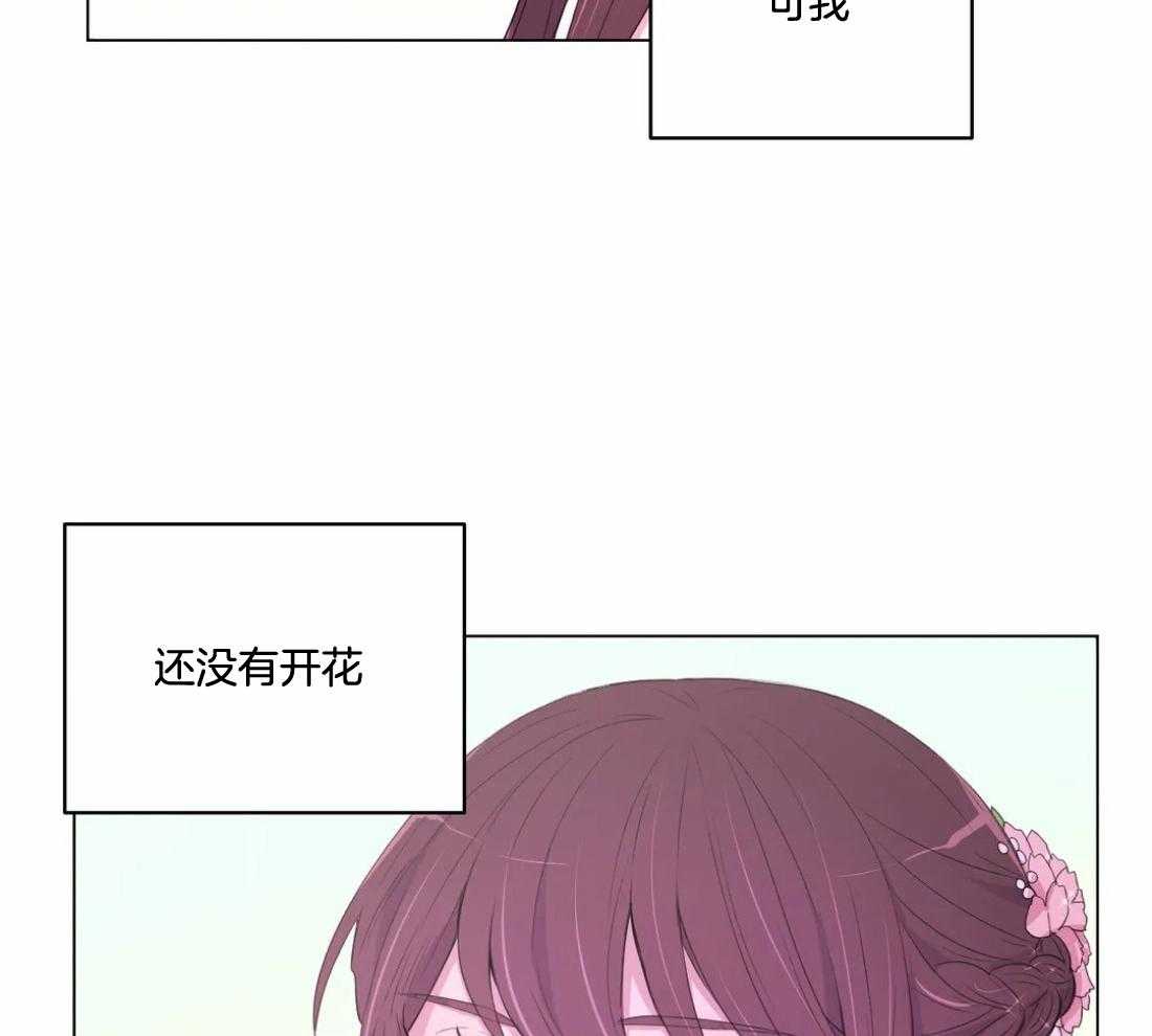《月夜花院》第138话 延期开花 第37页