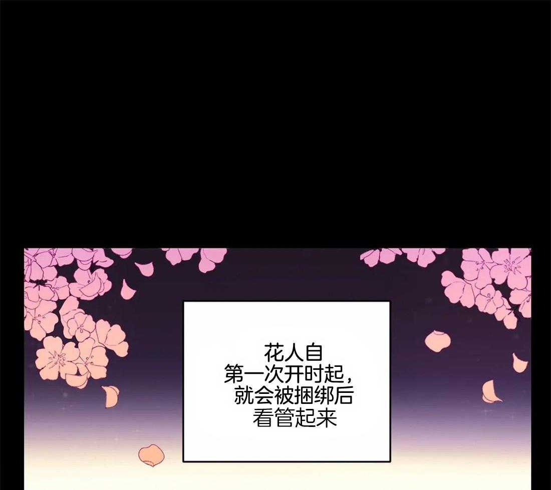 《月夜花院》第142话 我学习了很多 第1页
