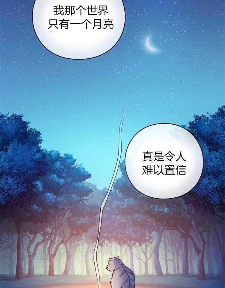 《异界探路者》第4话 4_大白虎会讲话 第15页