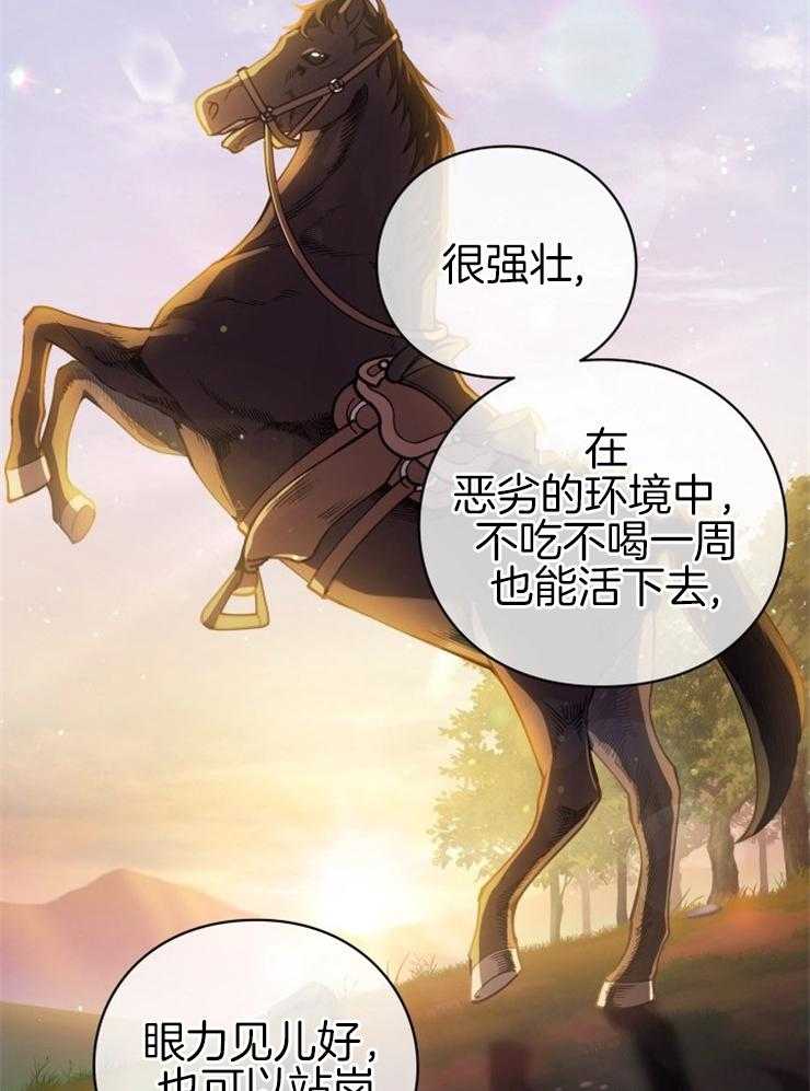 《异界探路者》第28话 我要这匹马 第36页