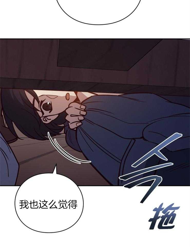 《异界探路者》第34话 猫薄荷惹祸啦 第37页