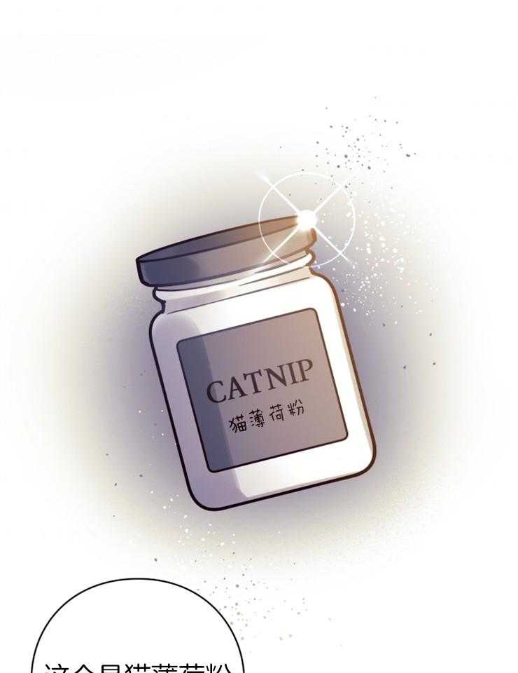 《异界探路者》第34话 猫薄荷惹祸啦 第55页