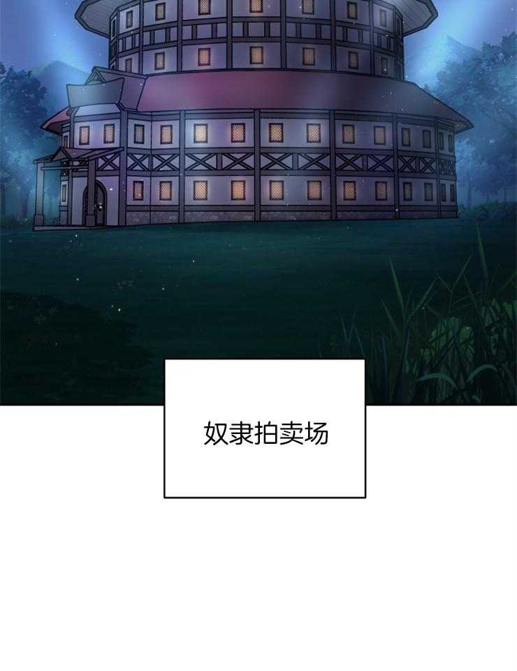 《异界探路者》第35话 拍卖会 第28页