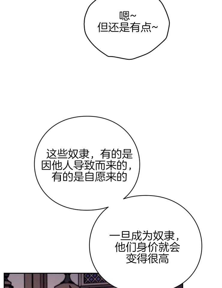 《异界探路者》第35话 拍卖会 第38页