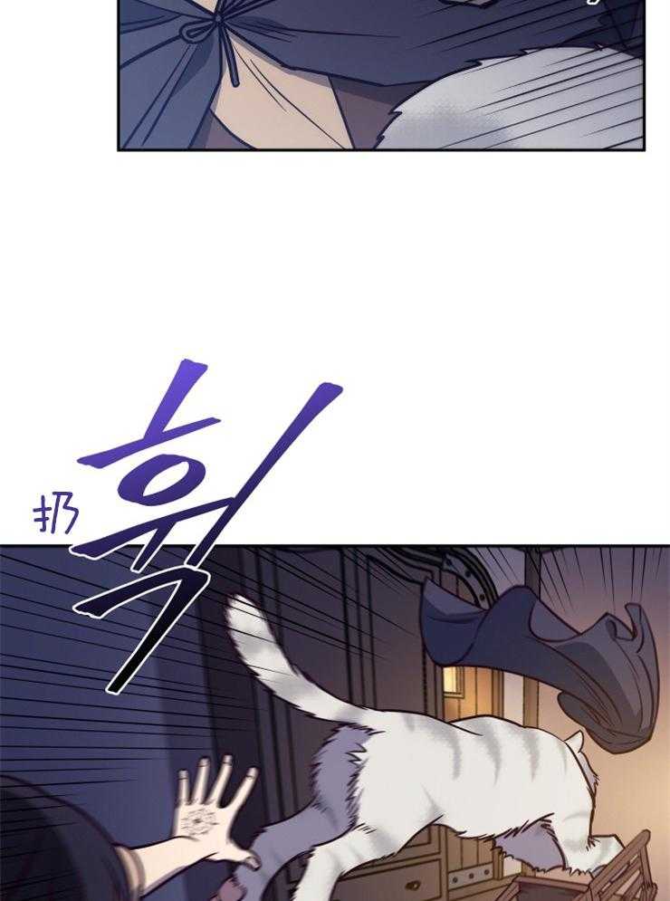 《异界探路者》第35话 拍卖会 第7页