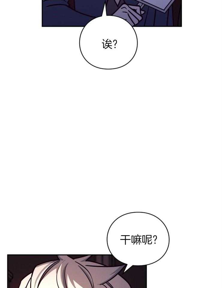 《异界探路者》第38话 竞拍 第41页