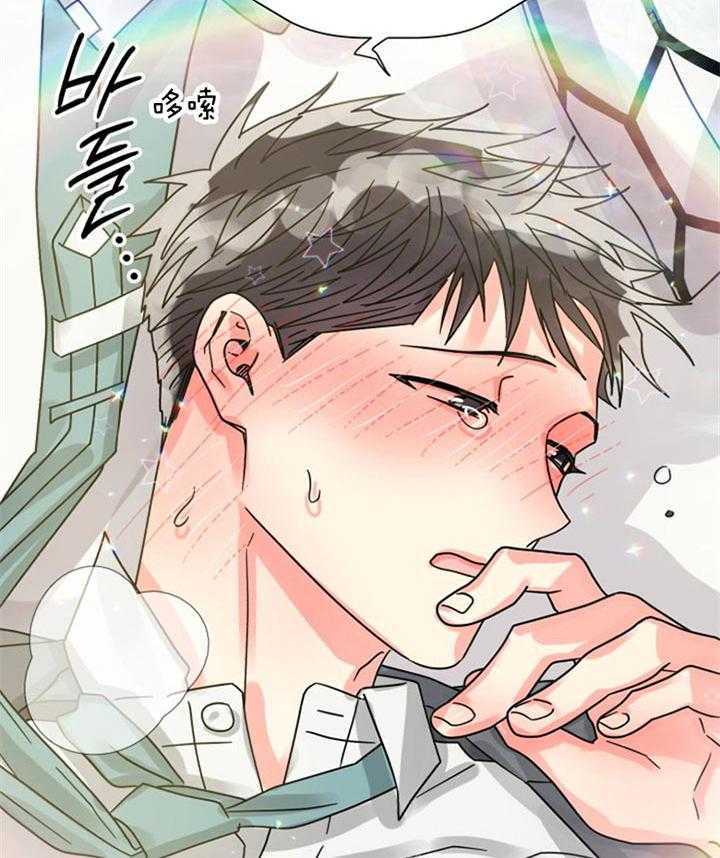 《营业部爱神》第49话 爱你哟前辈 第12页