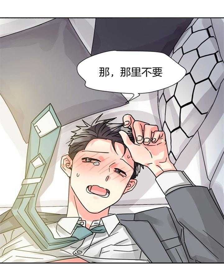 《营业部爱神》第49话 爱你哟前辈 第5页