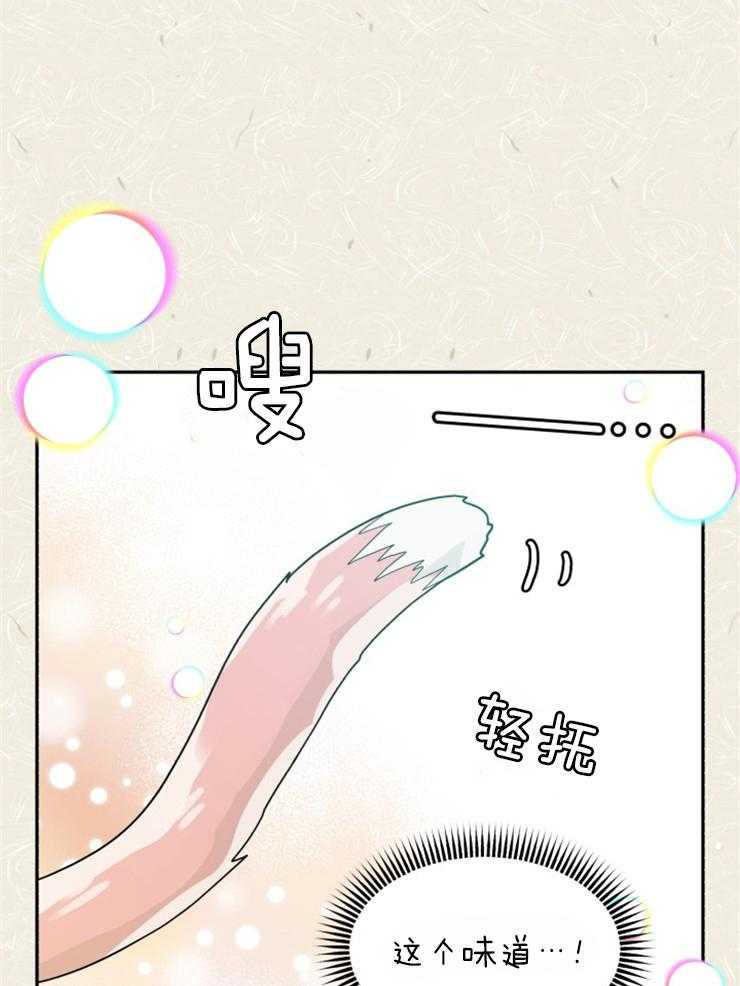 《营业部爱神》第54话 樵夫与老虎（番外） 第24页