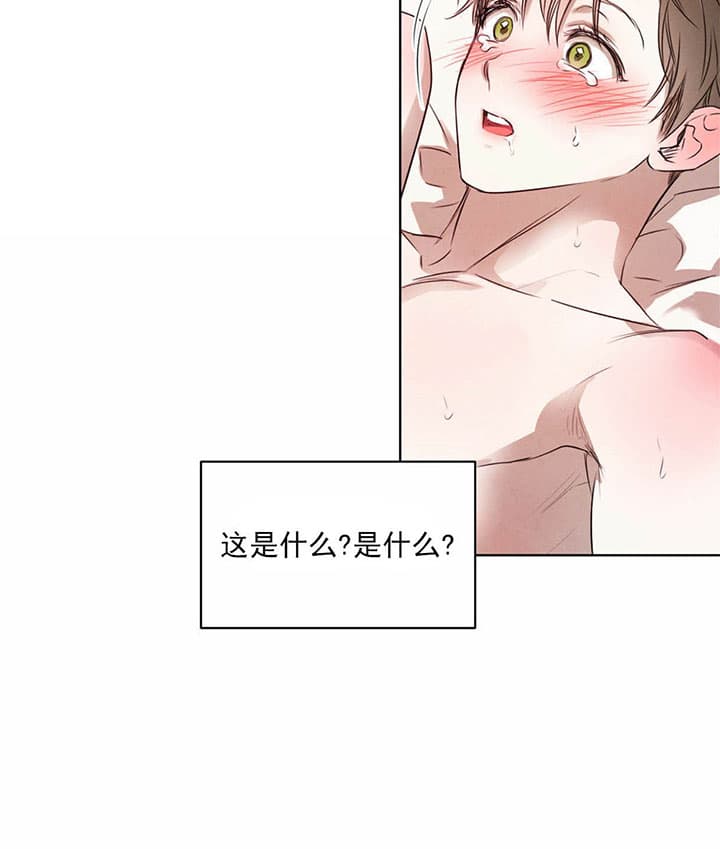 《皇家罗曼史（共2季）》第53话 还有下次 第14页