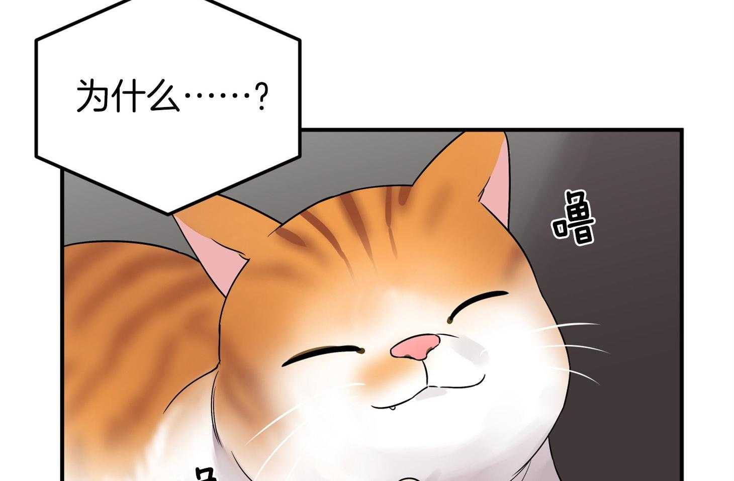 《我该死的XXX》第64话 他说的事实 第45页