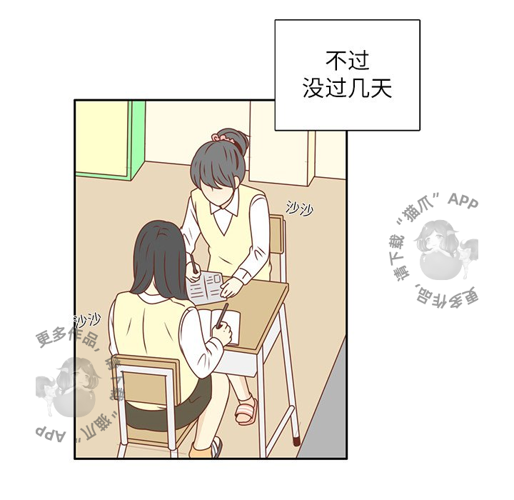 《各自的春天》第19话 19 第12页