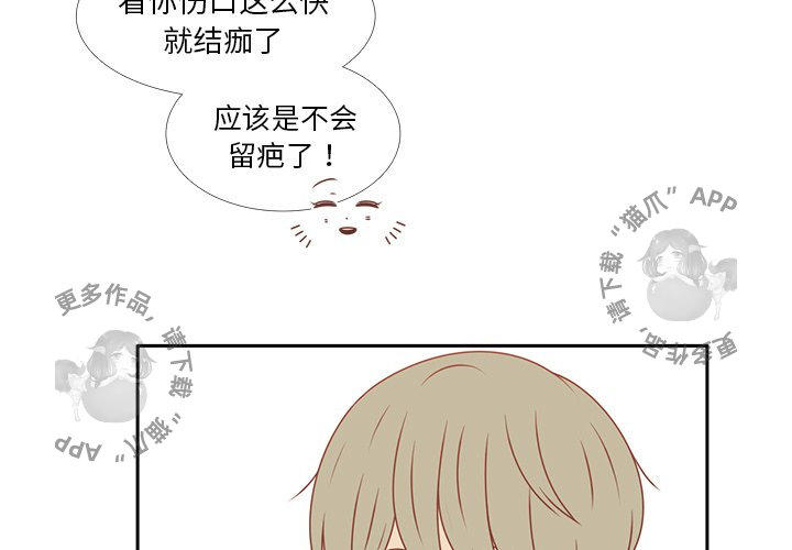 《各自的春天》第13话 13 第3页