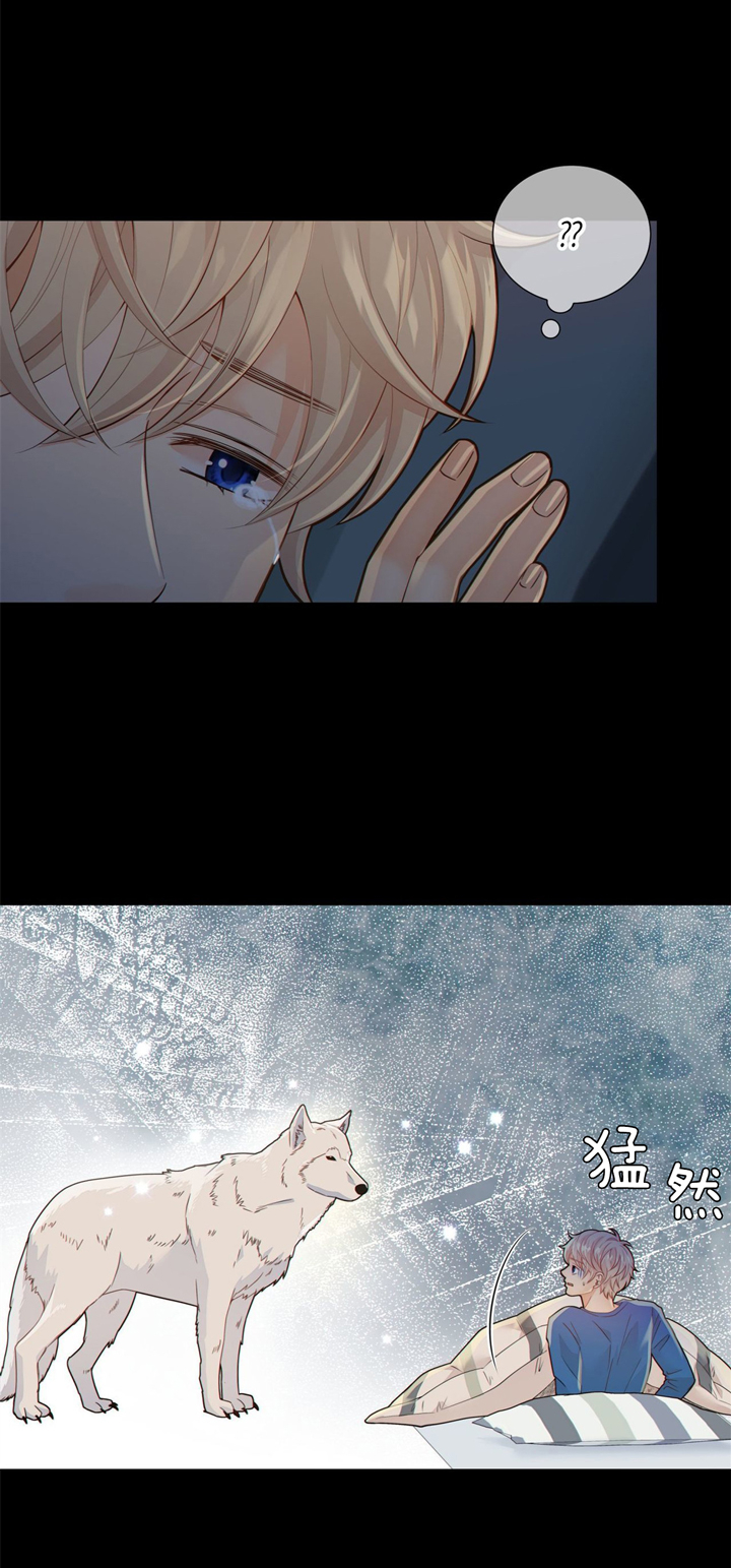 《狼与狗的时间》第44话 温暖 第17页