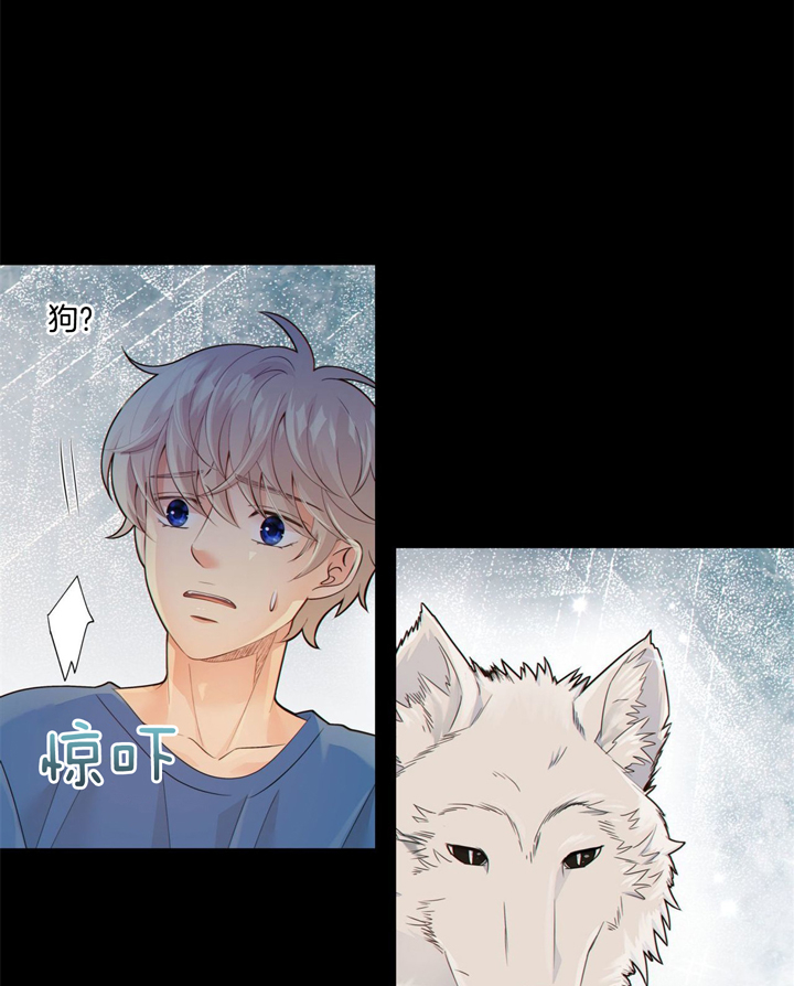 《狼与狗的时间》第45话 为了我 第1页