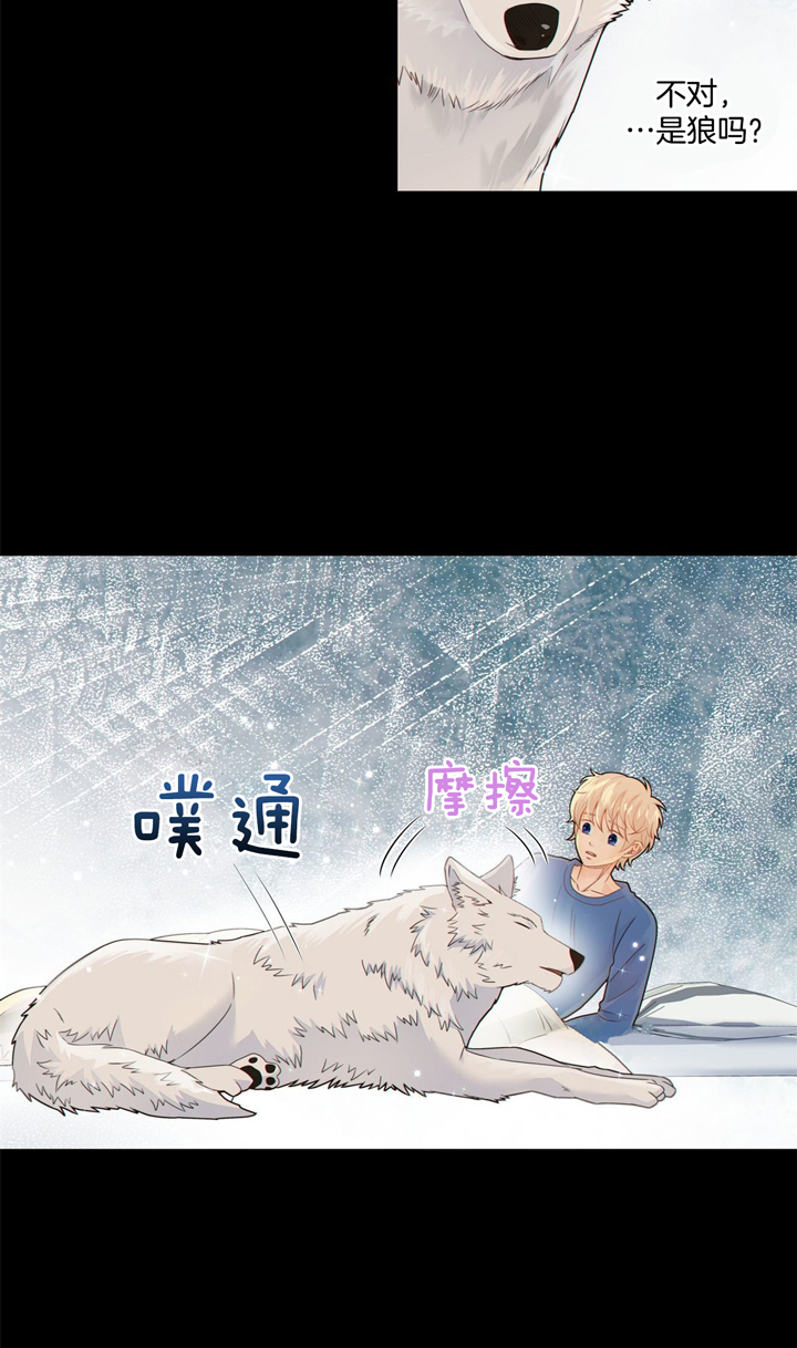 《狼与狗的时间》第45话 为了我 第2页