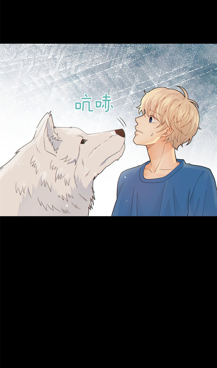 《狼与狗的时间》第45话 为了我 第3页