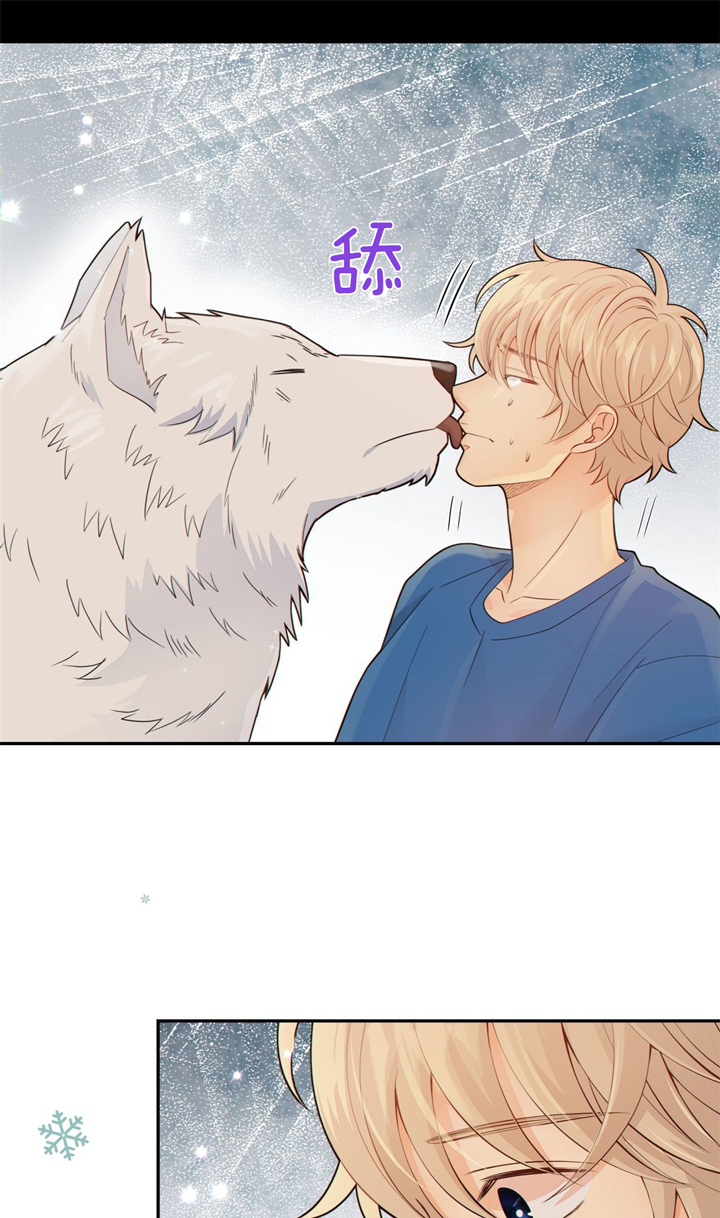《狼与狗的时间》第45话 为了我 第4页