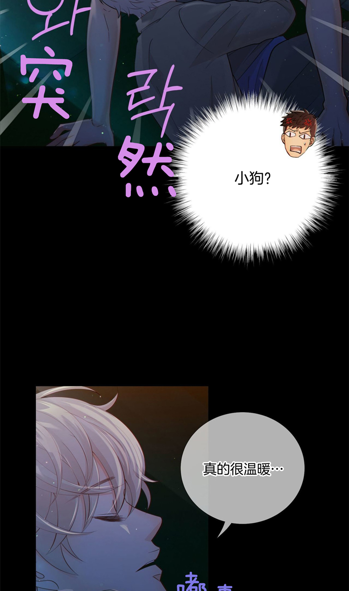 《狼与狗的时间》第46话 光芒 第10页