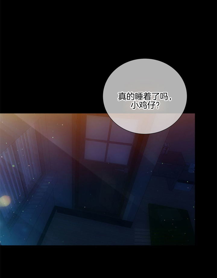《狼与狗的时间》第46话 光芒 第15页
