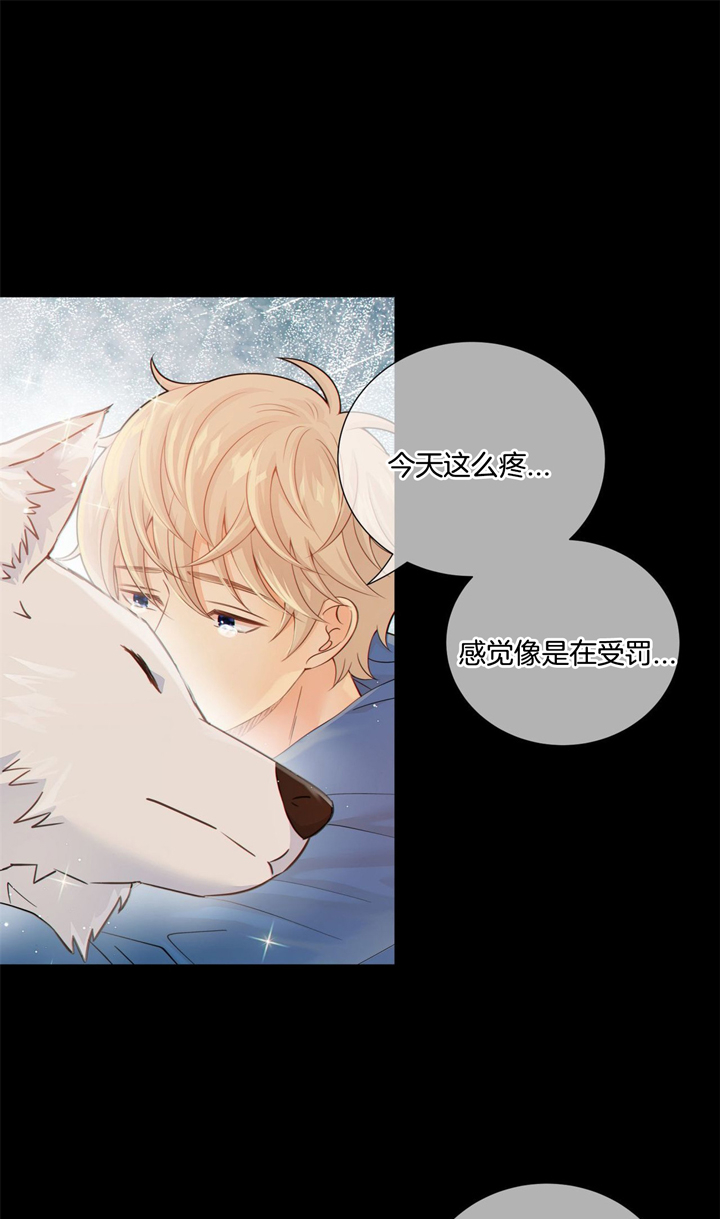 《狼与狗的时间》第46话 光芒 第1页