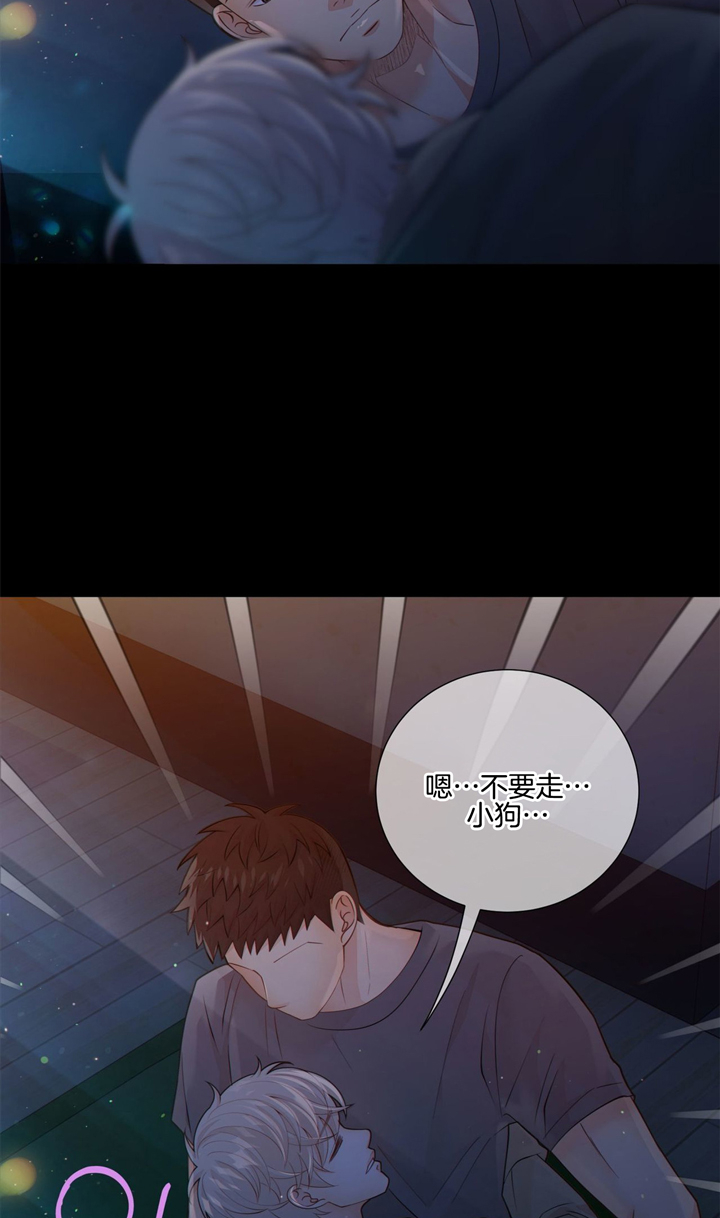 《狼与狗的时间》第46话 光芒 第9页