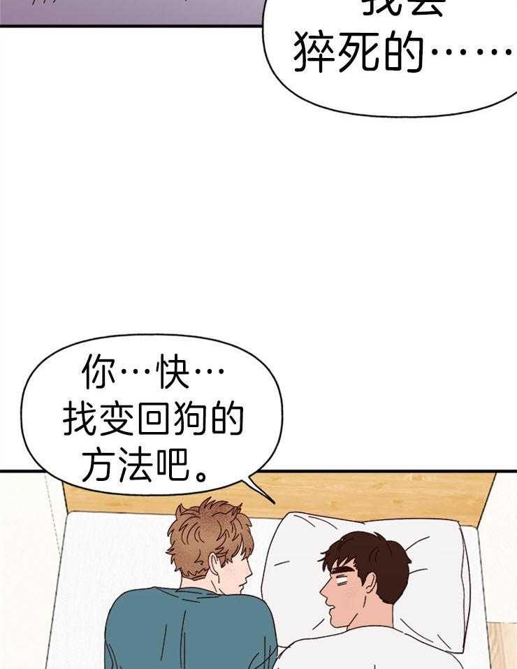 《主人可以享用你吗》第30话 可爱的坏蛋 第4页