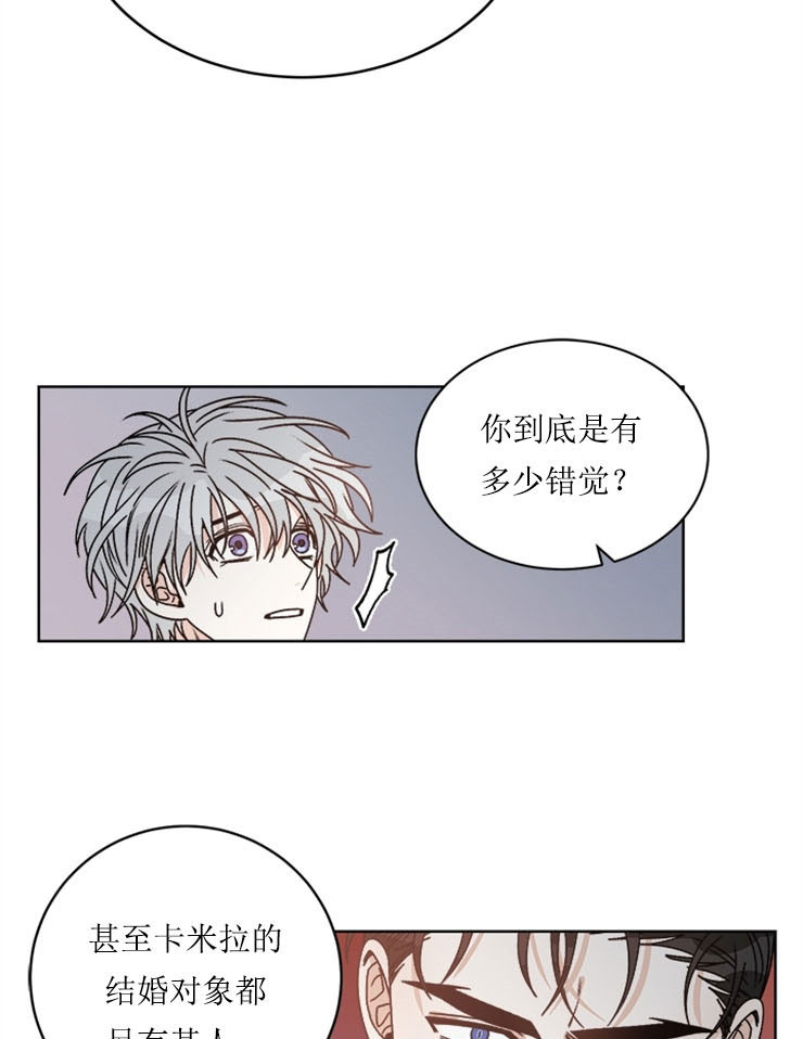 《逐龙》第61话 错觉 第17页