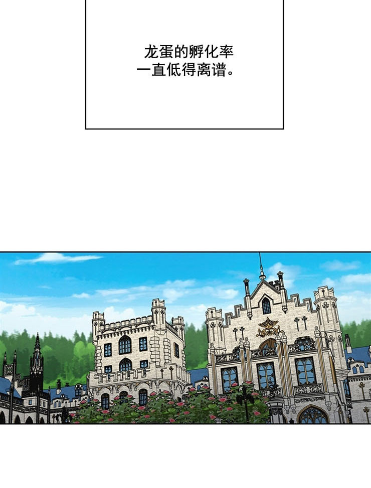《逐龙》第66话 出生的理由 第4页