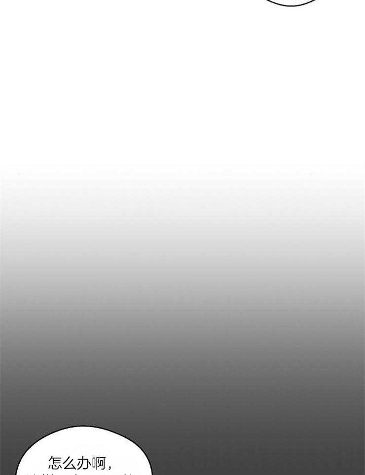 《结婚契约》第35话 你给予我的 第4页