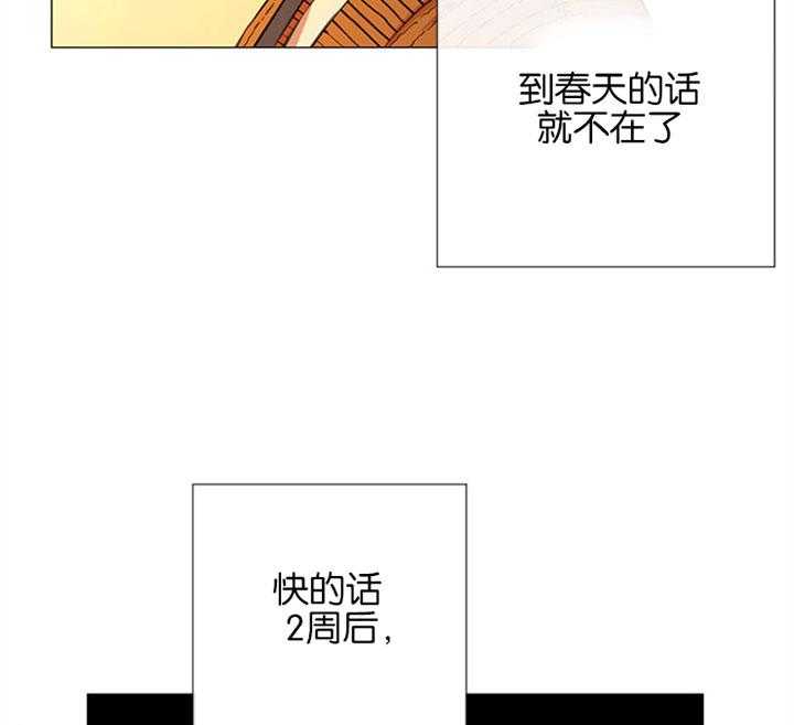 《红色糖果》第56话 一起去看花 第15页