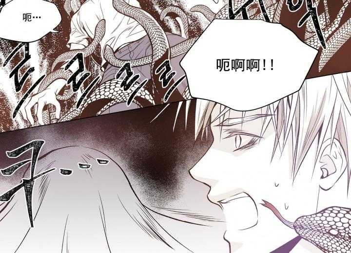 《无法击破的主君大人》第5话 5 第6页