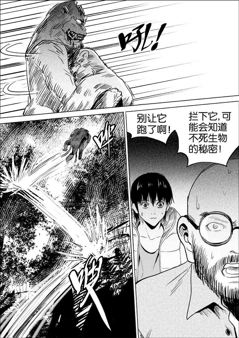 《迷域行者（第一季）》第90话 第九十话 第5页