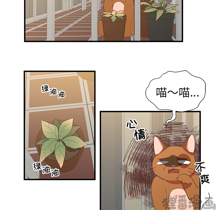 《我信你个鬼》第13话 第十三话 第44页