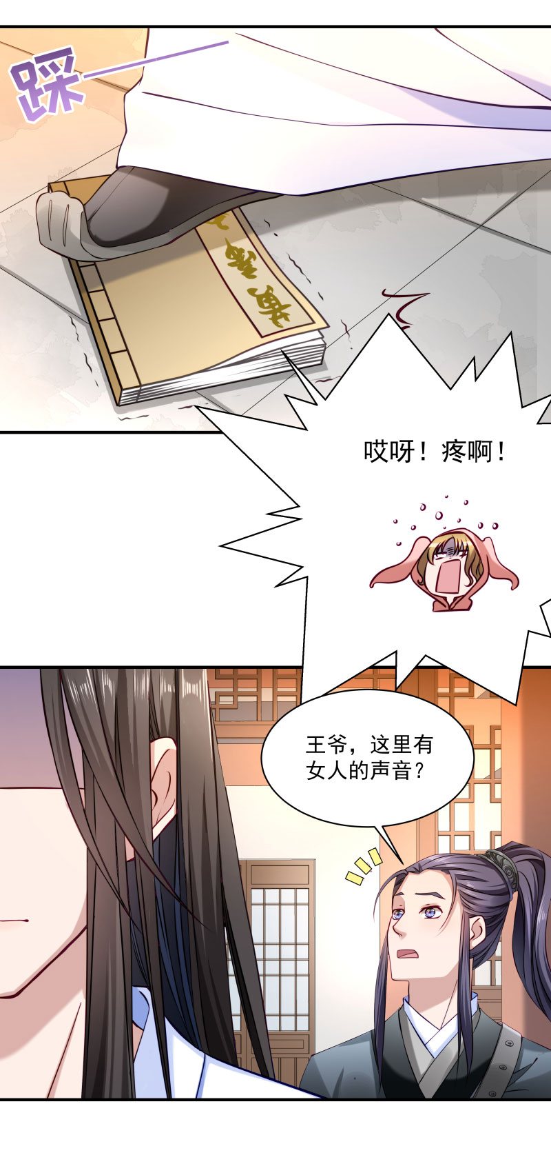 《小皇书VS小皇叔》第8话 来了新的小妾 第13页