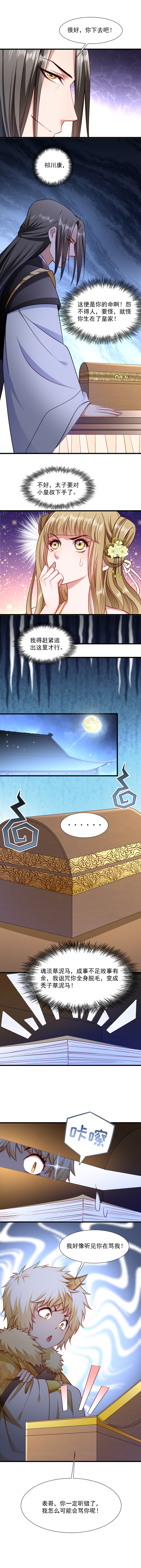 《小皇书VS小皇叔》第65话 火烧太子府 第3页