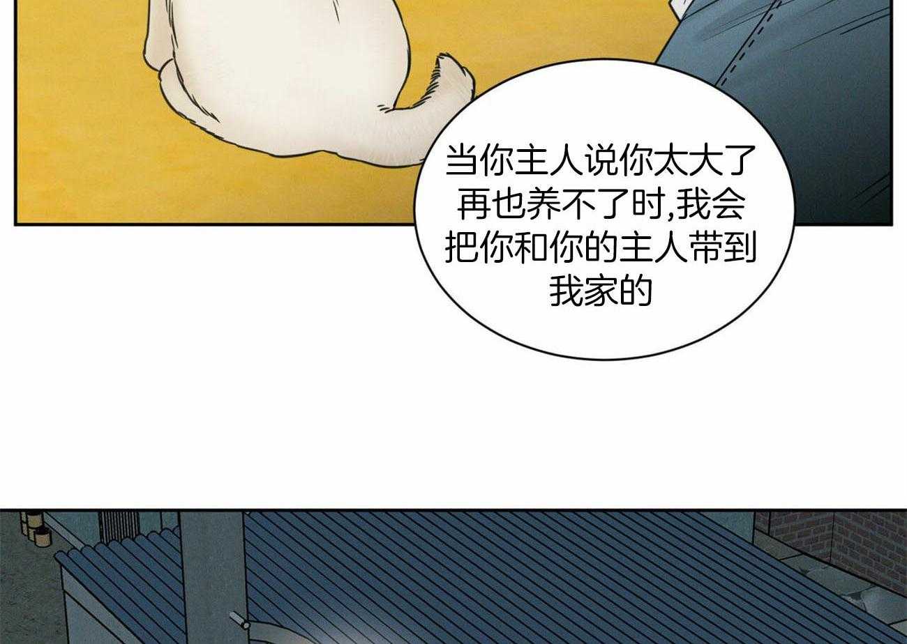 《即使不爱我》第84话 巨额债务 第10页