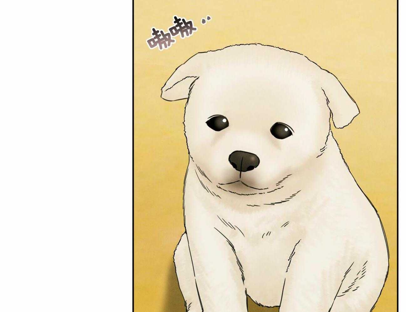《即使不爱我》第84话 巨额债务 第3页