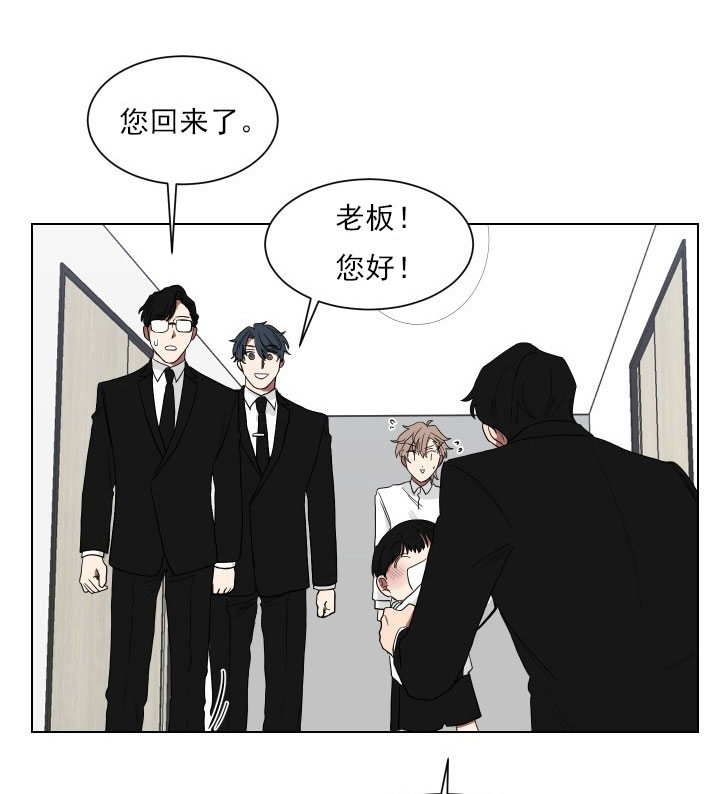 《我被大佬圈养了》第16话 16_第十六话跟我过来 第13页