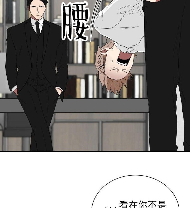 《我被大佬圈养了》第17话 17_第十七话批斗教训 第15页