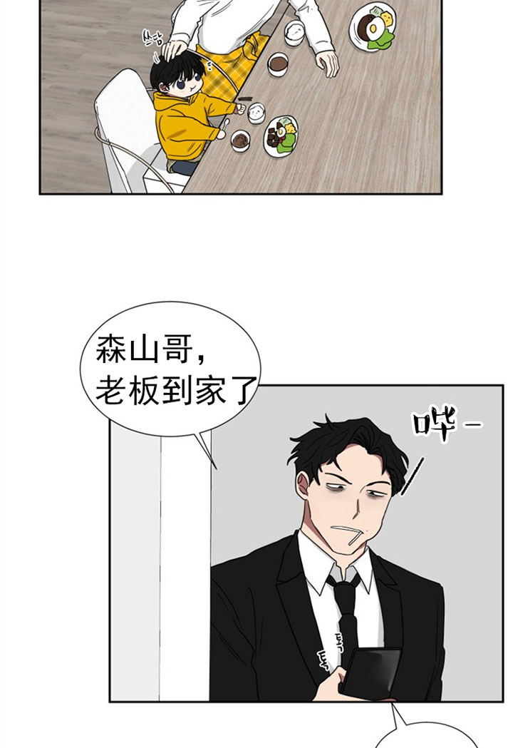《我被大佬圈养了》第29话 谁要杀谁 第13页