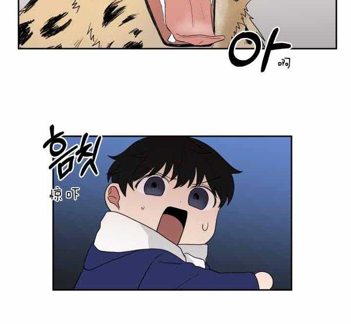 《我被大佬圈养了》第60话 奇怪的只有我 第13页
